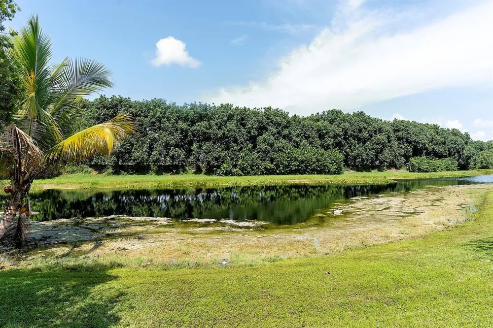 875 Bayside Lane Weston, FL 33326