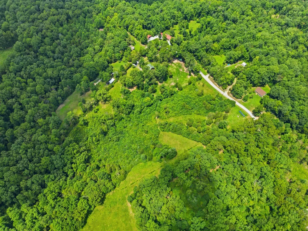 20151 Ben Fly Rd Lyles, TN 37098