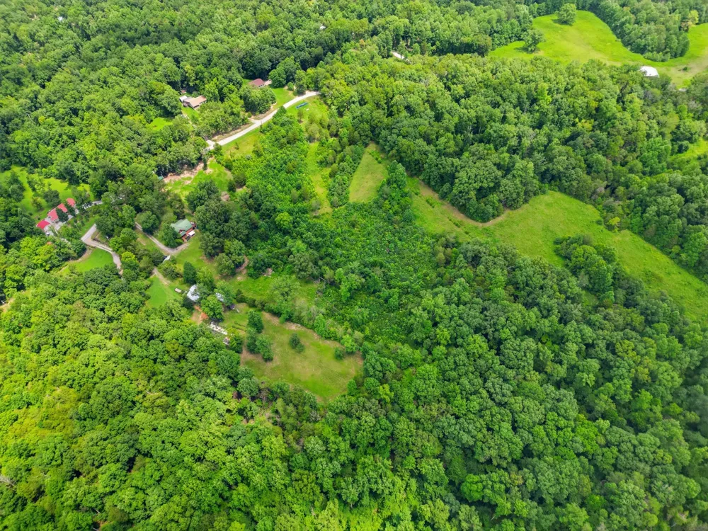 20151 Ben Fly Rd Lyles, TN 37098