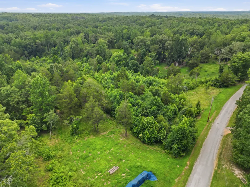 20151 Ben Fly Rd Lyles, TN 37098