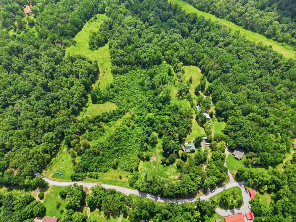 20151 Ben Fly Rd Lyles, TN 37098