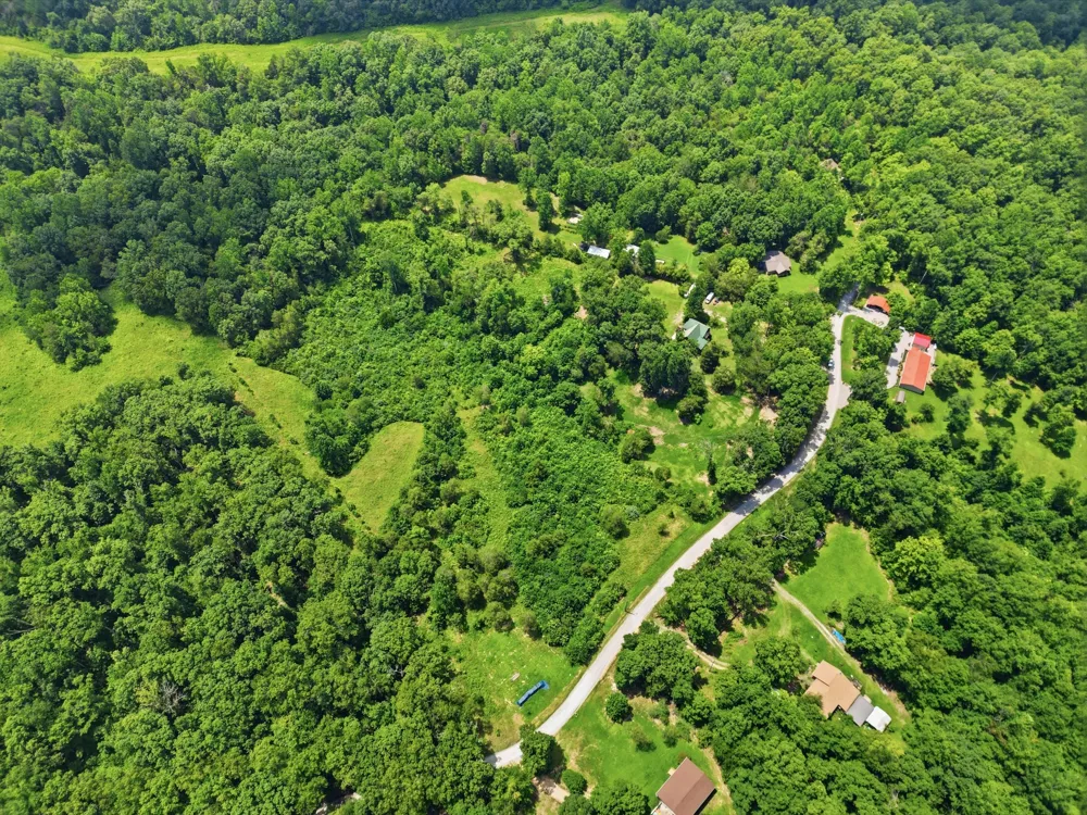 20151 Ben Fly Rd Lyles, TN 37098