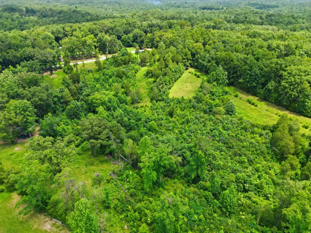 20151 Ben Fly Rd Lyles, TN 37098