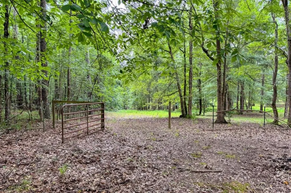 316 Biltmore Road Mansfield, GA 30055