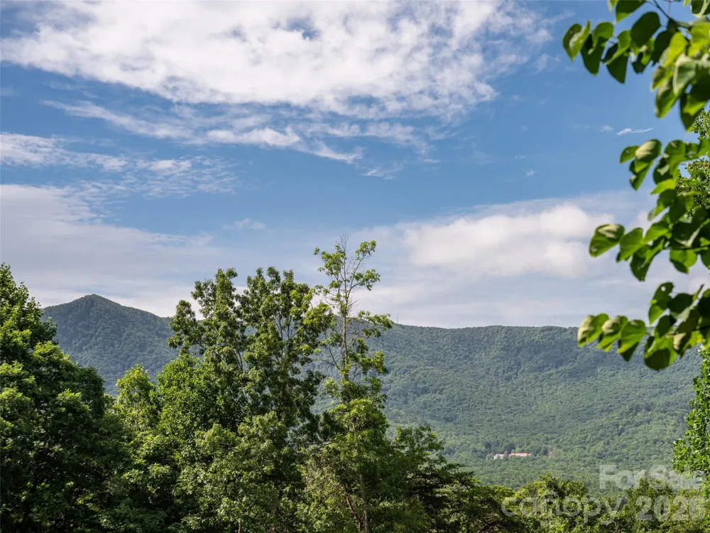 125 Craggy Street Black Mountain, NC 28711