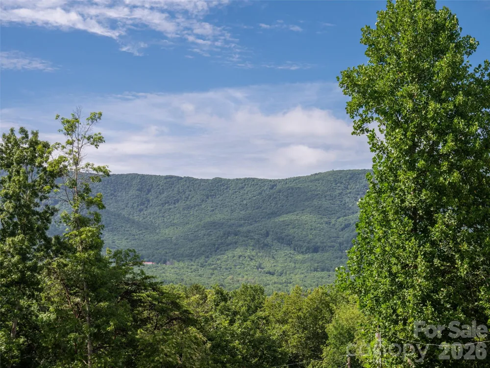 125 Craggy Street Black Mountain, NC 28711