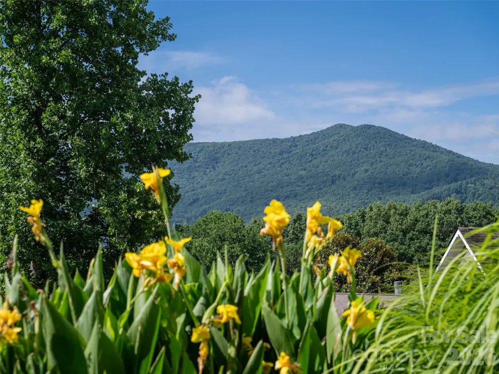 125 Craggy Street Black Mountain, NC 28711