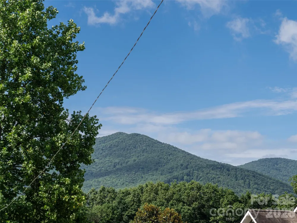 125 Craggy Street Black Mountain, NC 28711