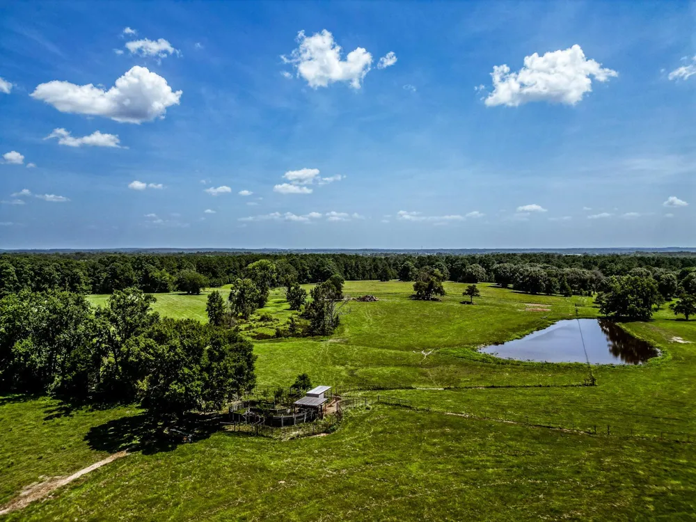 996 Cr 1835 Crockett, TX 75835
