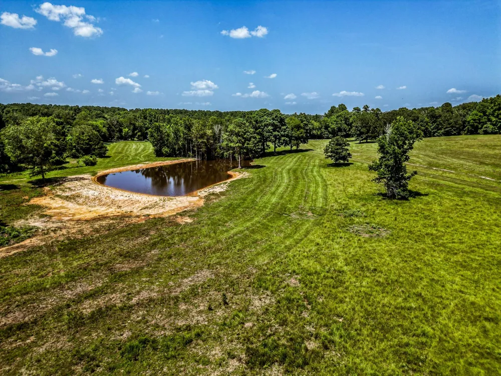996 Cr 1835 Crockett, TX 75835