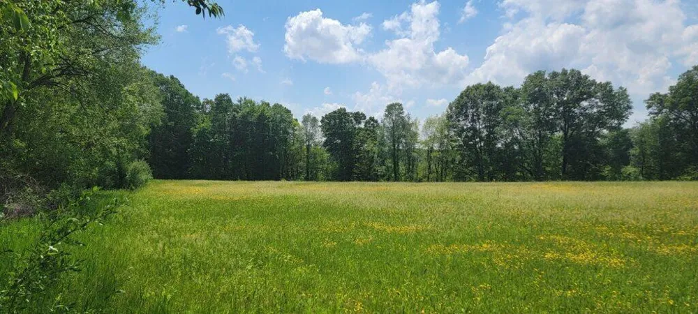 Kingsbury Road #Parcel D Delton, MI 49046