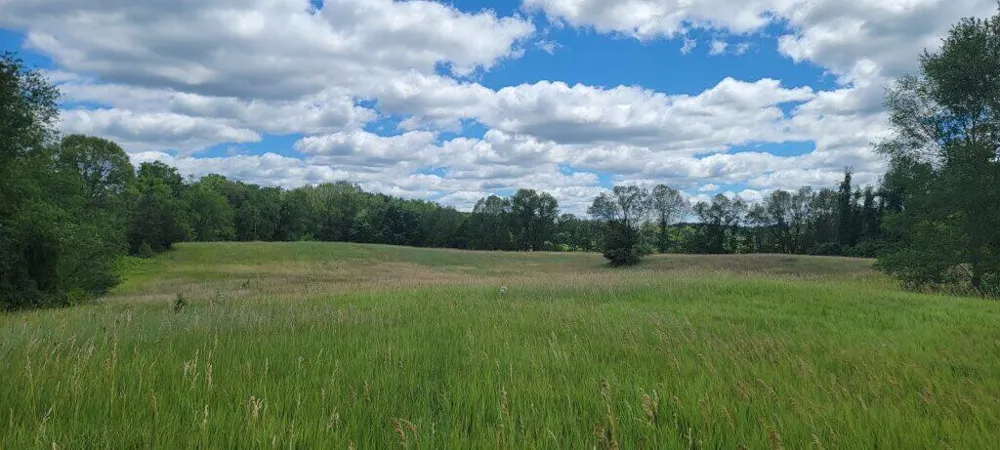 Kingsbury Road #Parcel D Delton, MI 49046