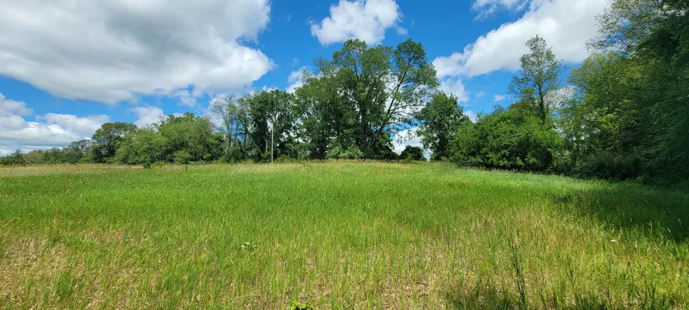 Kingsbury Road #Parcel D Delton, MI 49046