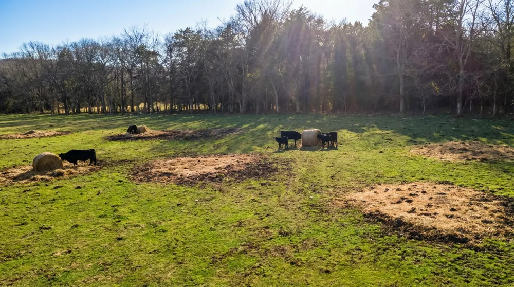 171 Uselton Rd Shelbyville, TN 37160