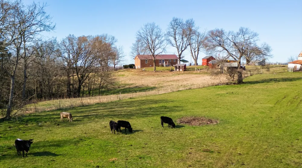 171 Uselton Rd Shelbyville, TN 37160