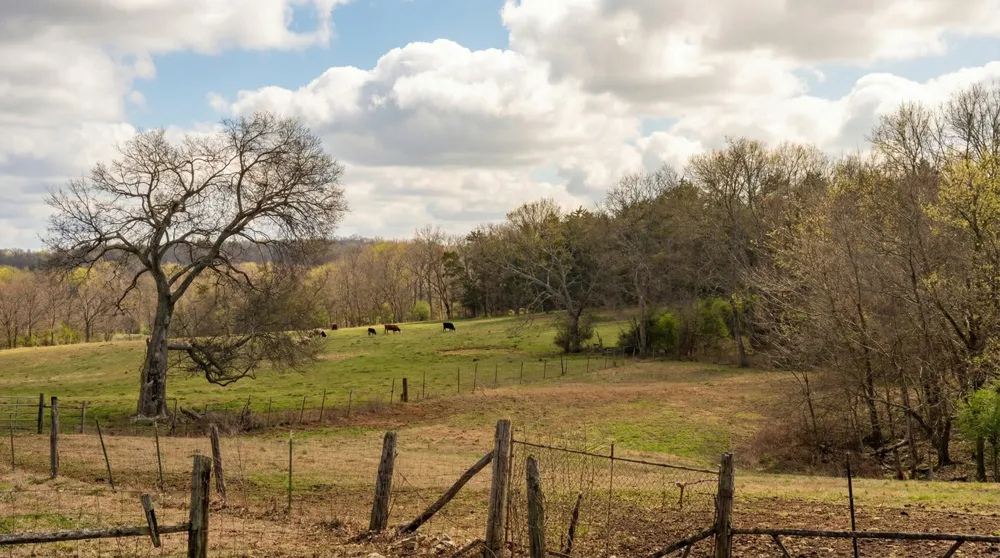 171 Uselton Rd Shelbyville, TN 37160