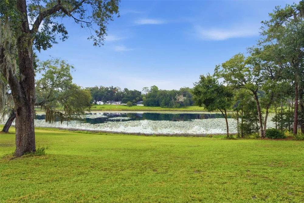 38700 LAKEVIEW DRIVE Lady Lake, FL 32159