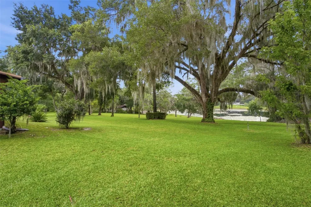 38700 LAKEVIEW DRIVE Lady Lake, FL 32159