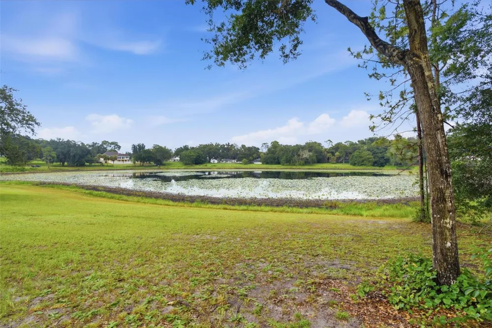 38700 LAKEVIEW DRIVE Lady Lake, FL 32159