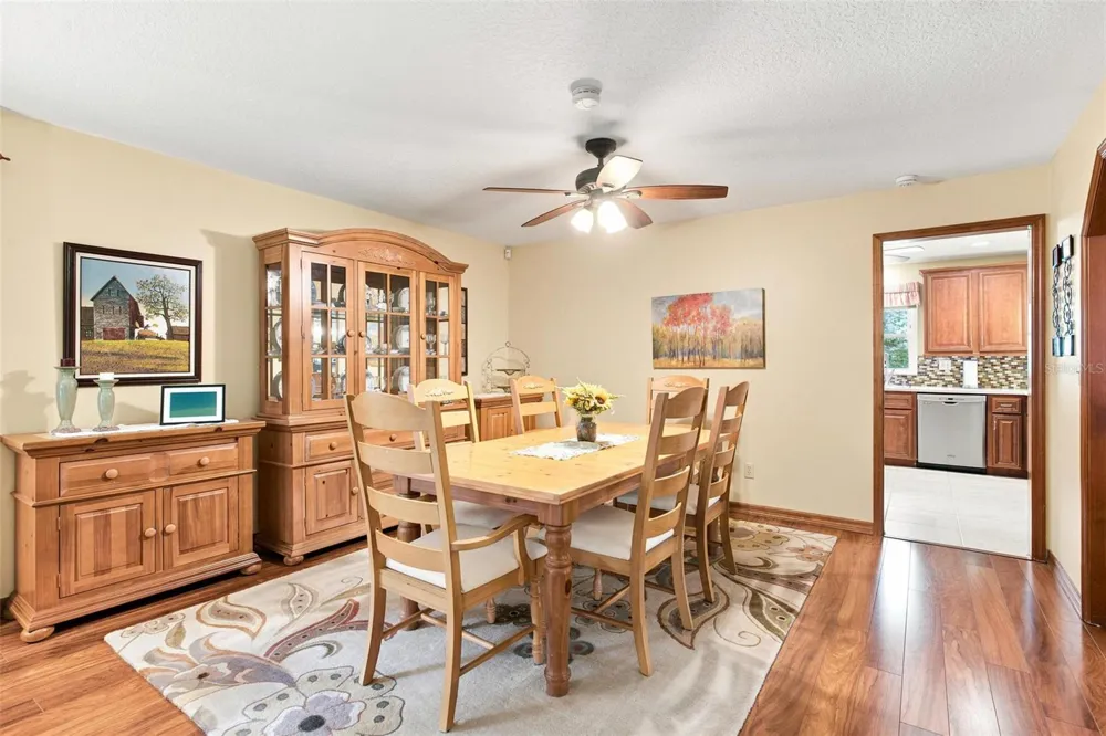 38700 LAKEVIEW DRIVE Lady Lake, FL 32159