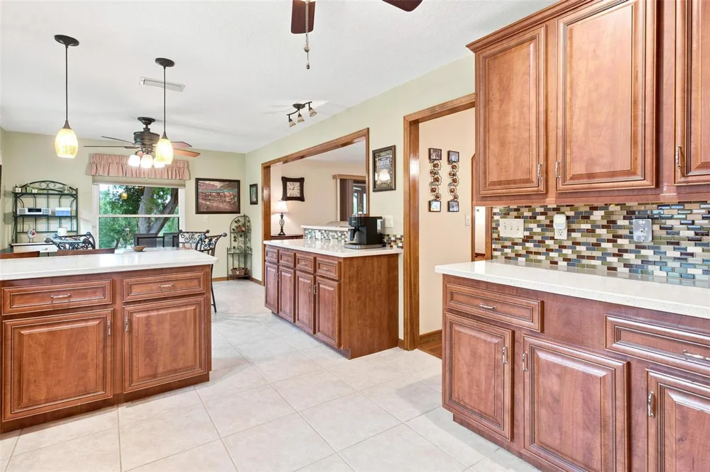 38700 LAKEVIEW DRIVE Lady Lake, FL 32159
