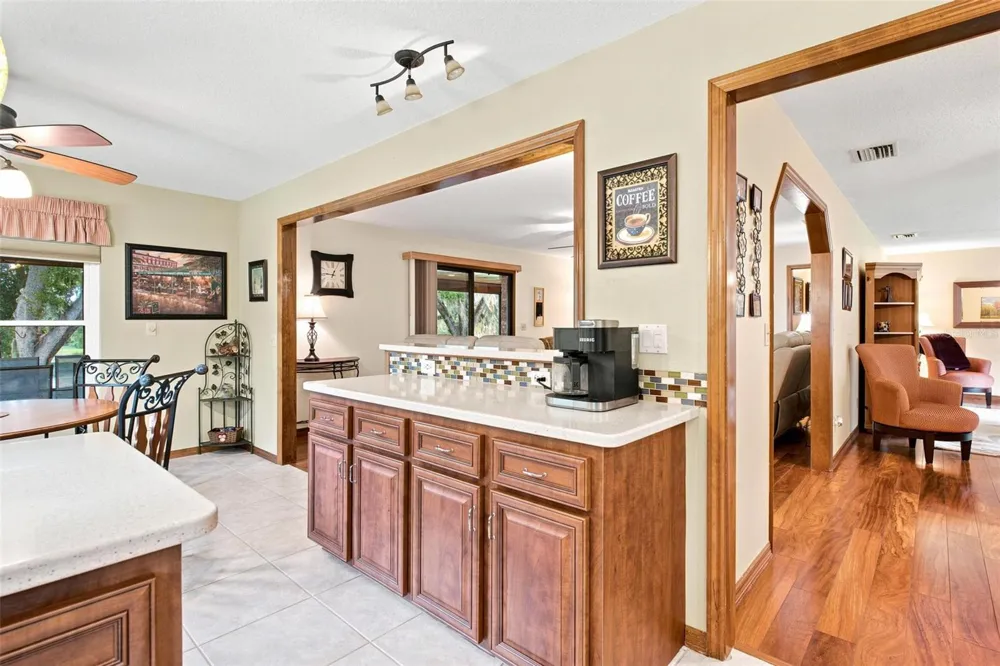 38700 LAKEVIEW DRIVE Lady Lake, FL 32159