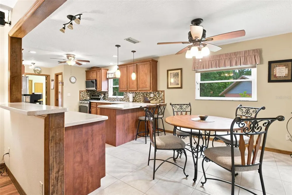 38700 LAKEVIEW DRIVE Lady Lake, FL 32159