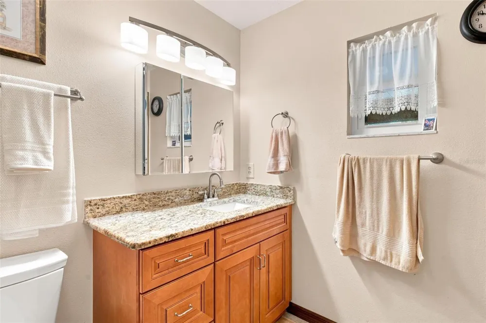 38700 LAKEVIEW DRIVE Lady Lake, FL 32159