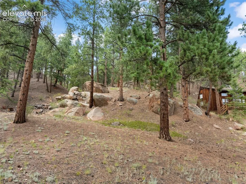 3843 County Road 33 Woodland Park, CO 80863