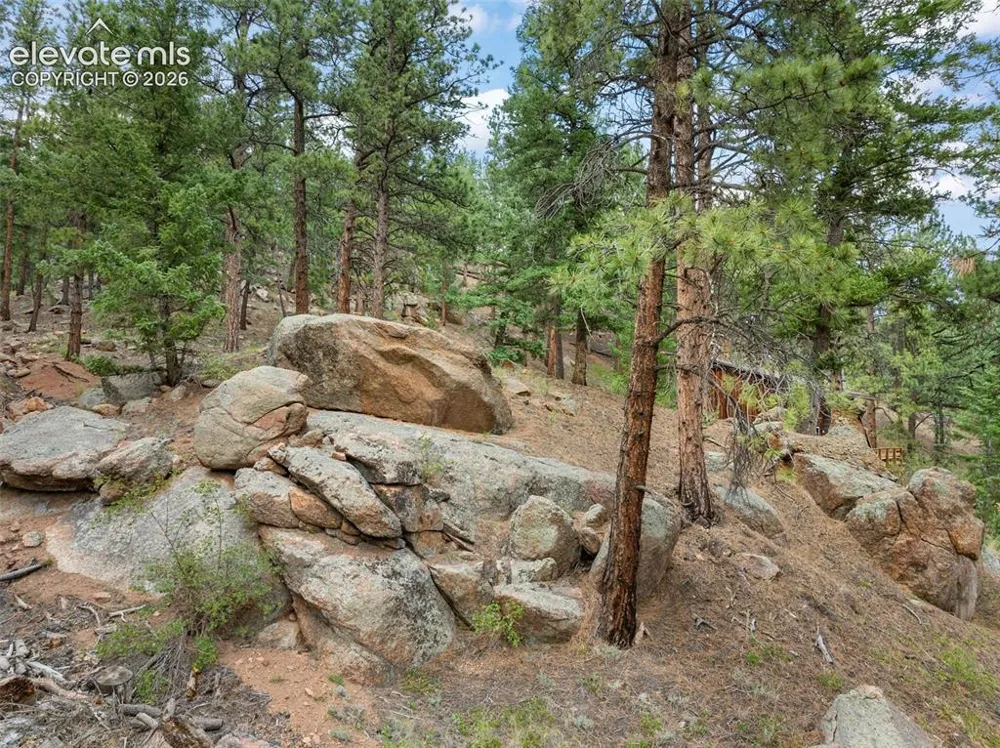3843 County Road 33 Woodland Park, CO 80863
