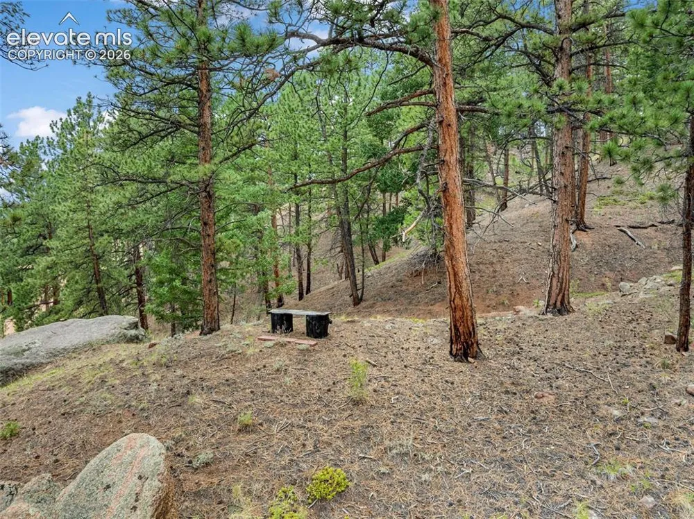 3843 County Road 33 Woodland Park, CO 80863