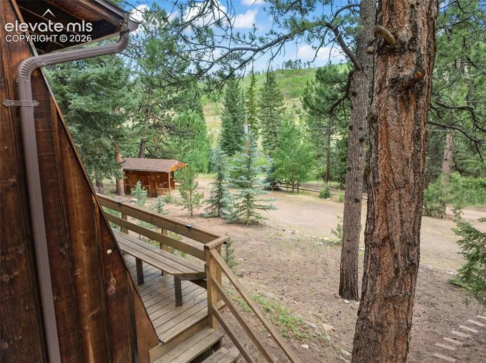 3843 County Road 33 Woodland Park, CO 80863