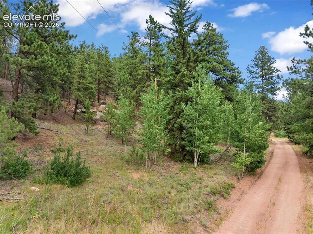3843 County Road 33 Woodland Park, CO 80863