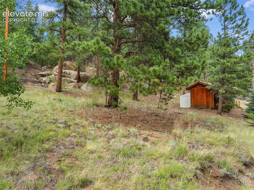 3843 County Road 33 Woodland Park, CO 80863
