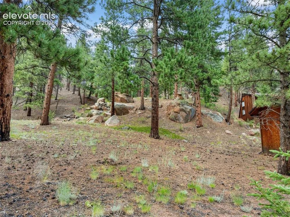 3843 County Road 33 Woodland Park, CO 80863