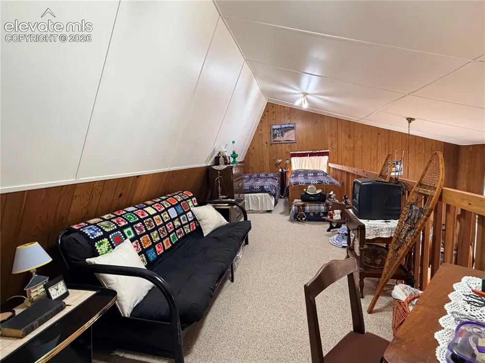 3843 County Road 33 Woodland Park, CO 80863