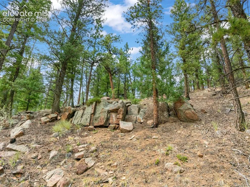 3843 County Road 33 Woodland Park, CO 80863