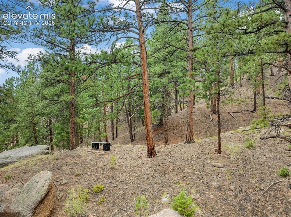 3843 County Road 33 Woodland Park, CO 80863