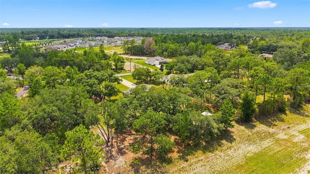 10345 MEADOW WREN AVENUE Weeki Wachee, FL 34613