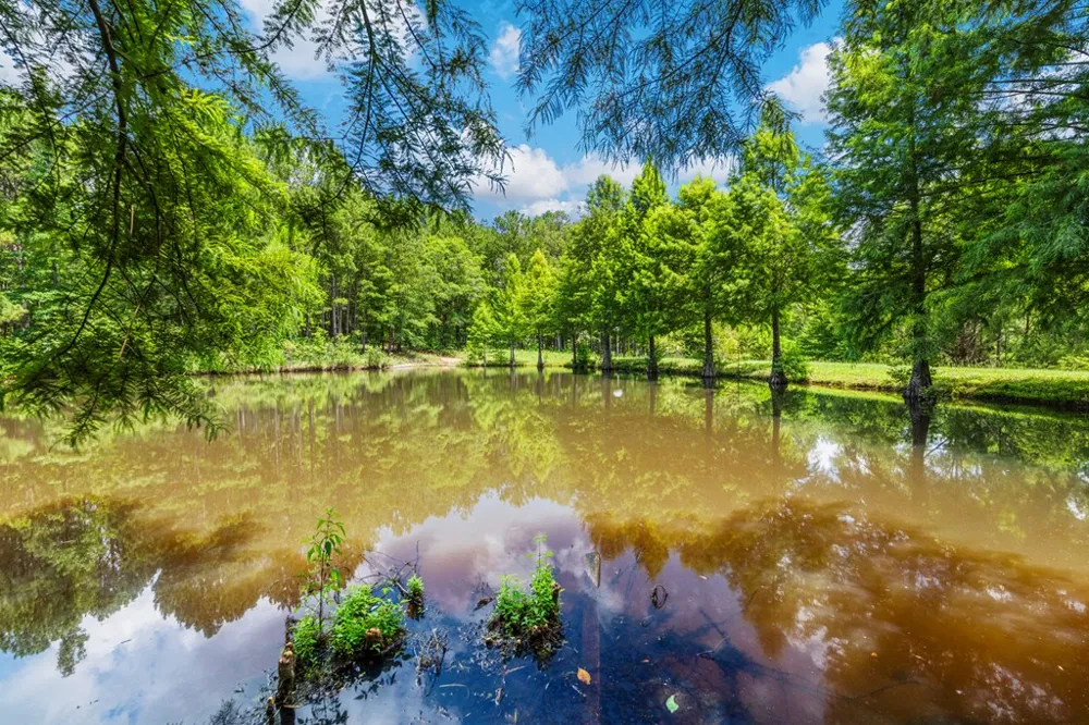 877 Mckee Road Waverly Hall, GA 31831
