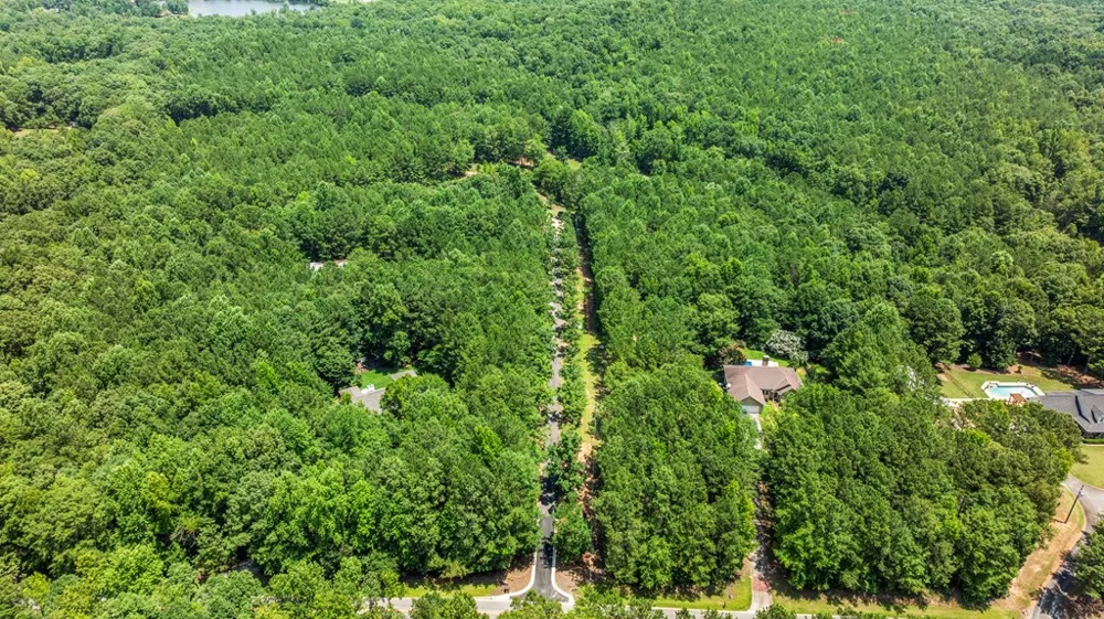 877 Mckee Road Waverly Hall, GA 31831