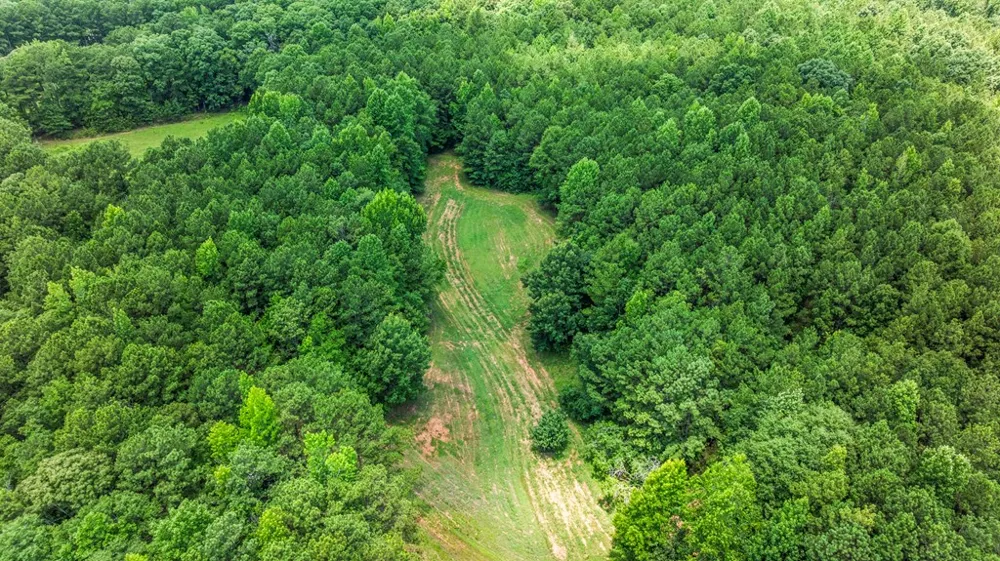 877 Mckee Road Waverly Hall, GA 31831