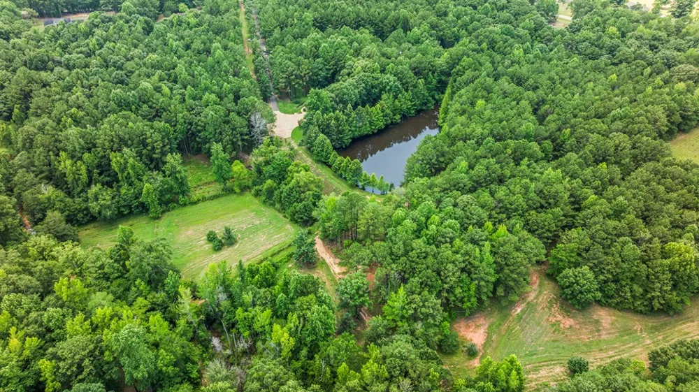 877 Mckee Road Waverly Hall, GA 31831