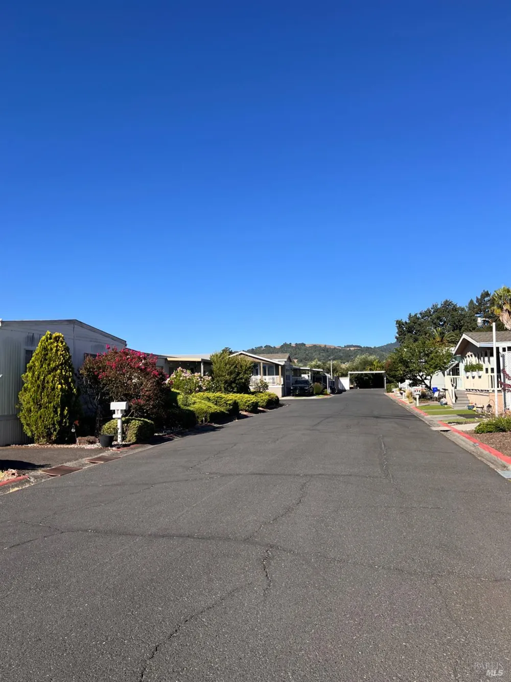 4433 Solano Avenue ##115 Napa, CA 94558