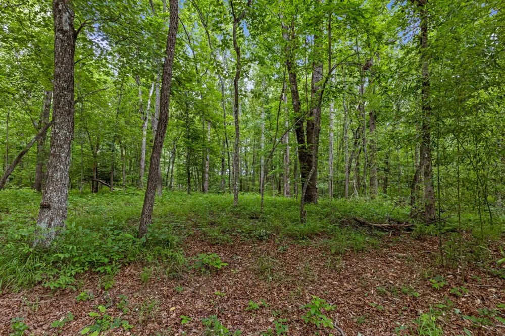 7055 Mooneyham Lonewood Road Spencer, TN 38585
