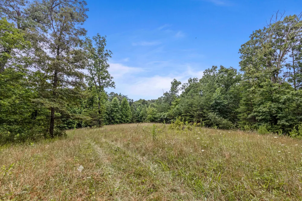 7055 Mooneyham Lonewood Road Spencer, TN 38585