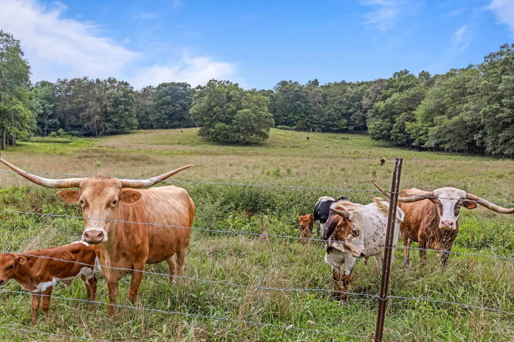 7055 Mooneyham Lonewood Road Spencer, TN 38585