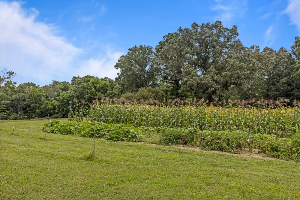 7055 Mooneyham Lonewood Road Spencer, TN 38585