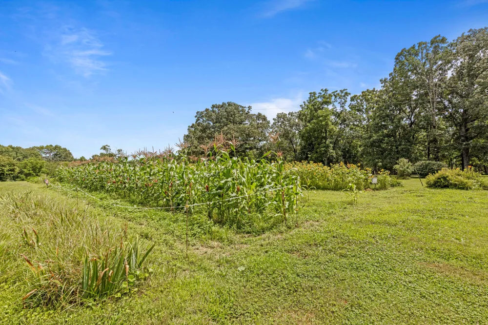 7055 Mooneyham Lonewood Road Spencer, TN 38585