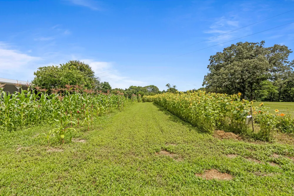 7055 Mooneyham Lonewood Road Spencer, TN 38585